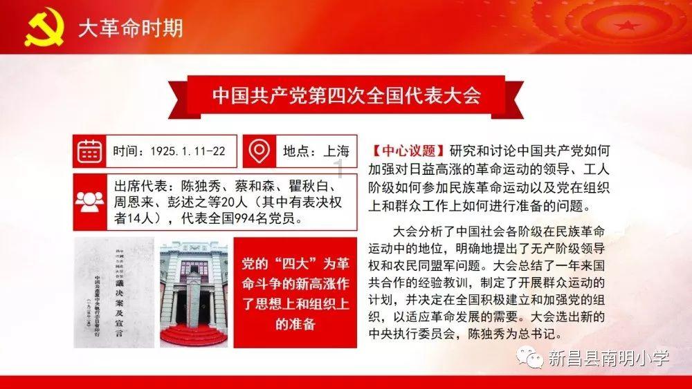 金刚鹦鹉逃生